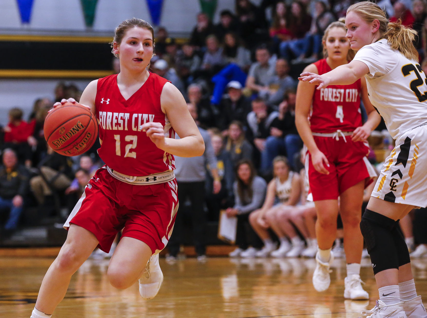 GBball Clear Lake vs. Forest City 14